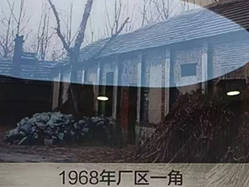 1968 year